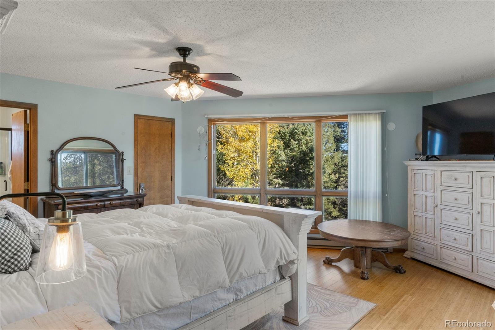 247 Pinewood Road Florissant, CO 80816 - Photo 13 of 28
