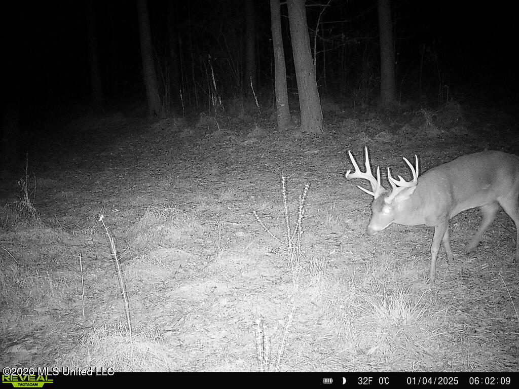 425 Rose Hill Road Bentonia, MS 39040 - Photo 121 of 150 CCF0F7AB-970F-44F1-9277-0357EFF52664_1_1