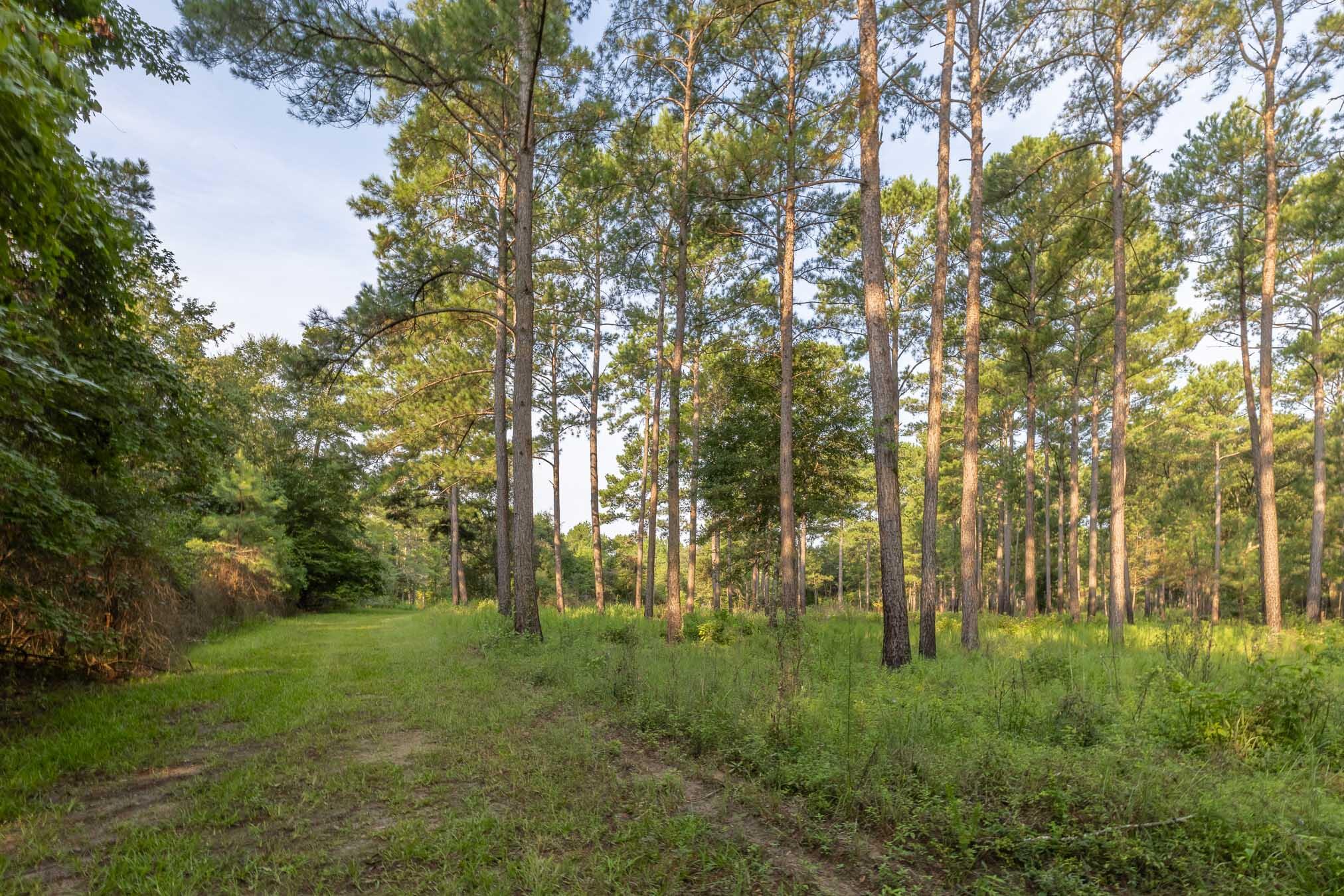 6604 Pine Island Road Albany, GA 31721 - Photo 44 of 100 PineKnollDucker-1049
