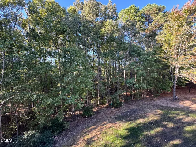 a view of a backyard with large trees