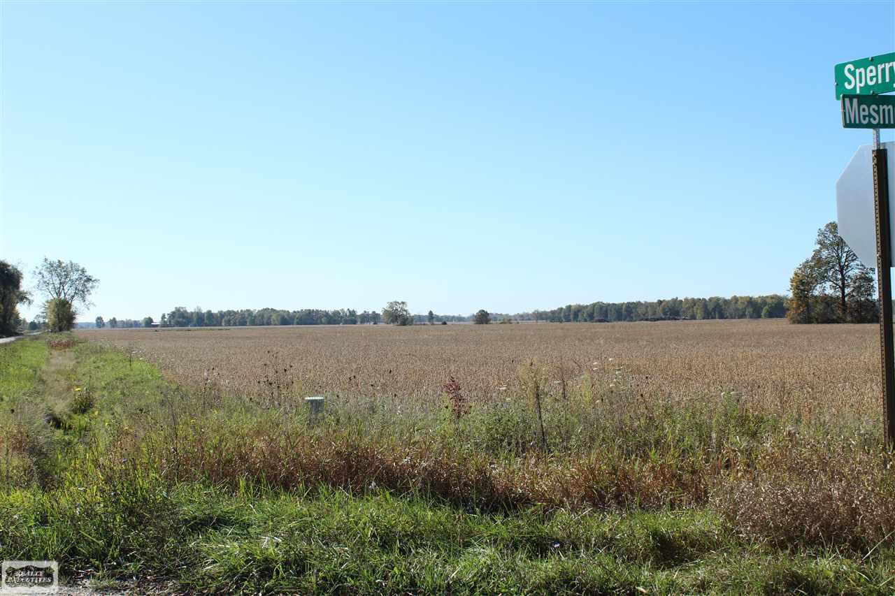 0 Sperry Allenton, MI 48002 - Photo 6 of 9