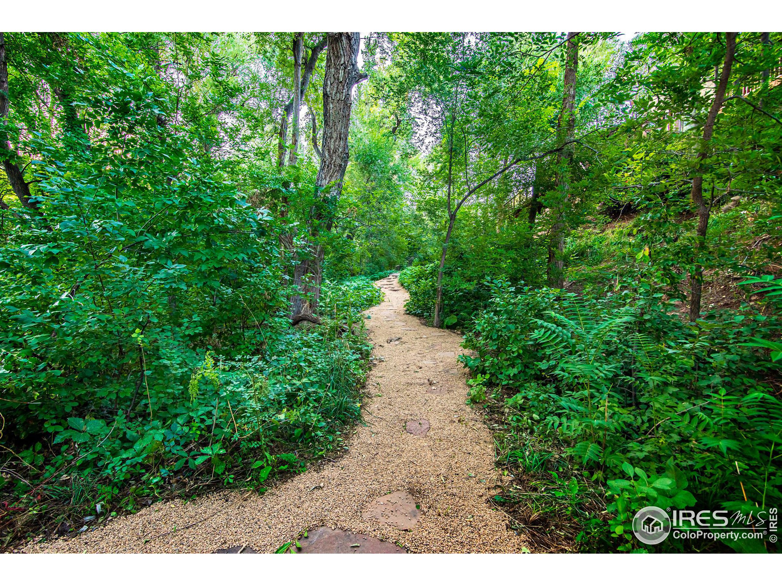 2323 4th Street Boulder, CO 80302 - Photo 34 of 40 a view of a pathway both side of yard