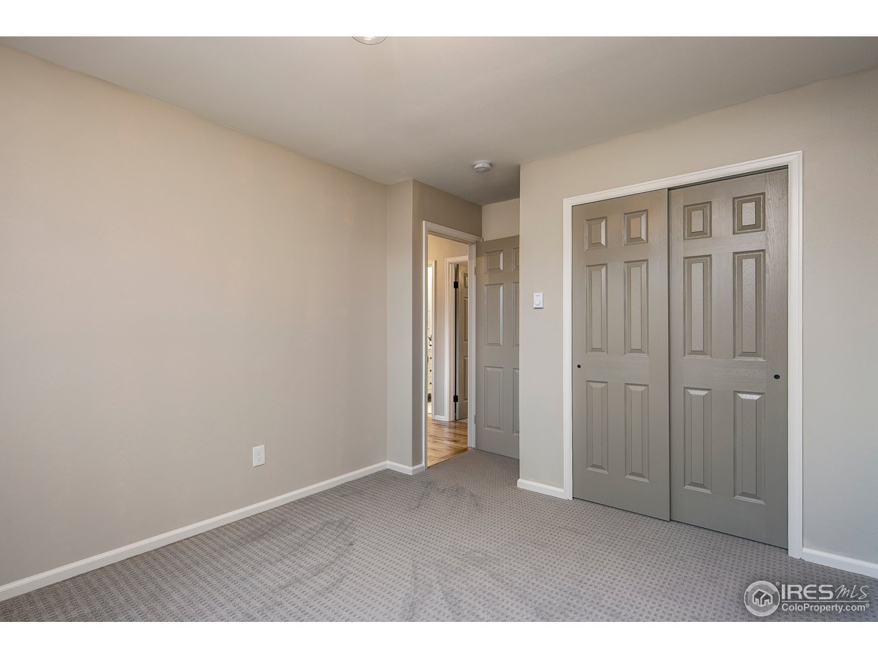 719 Gallup Road Fort Collins, CO 80521 - Photo 19 of 36 Plenty of Closet Space