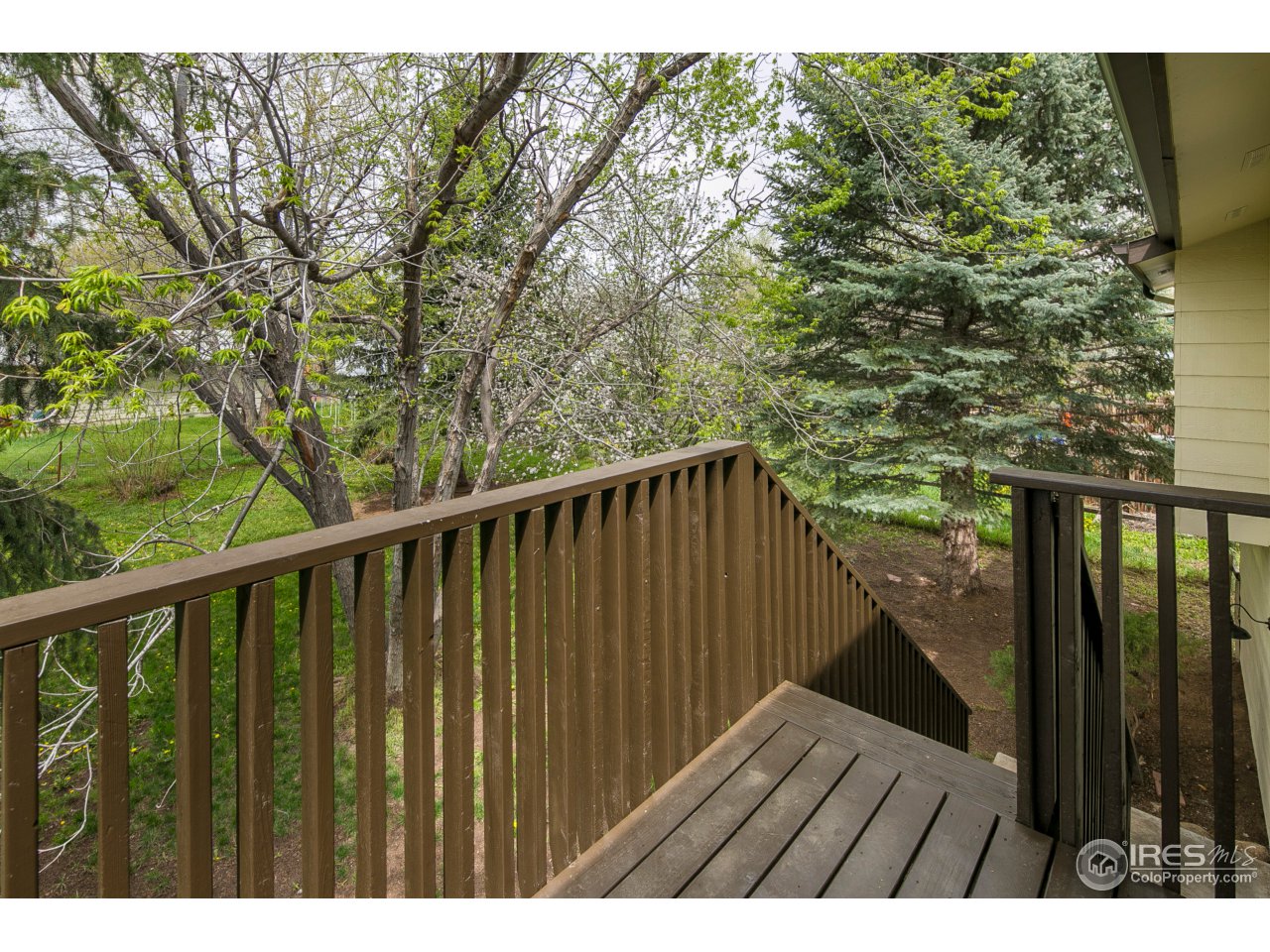 719 Gallup Road Fort Collins, CO 80521 - Photo 33 of 36 Private Space