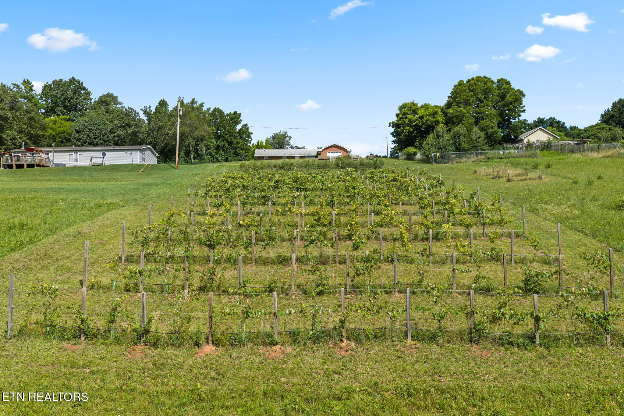 260 Long Hollow Road Clinton, TN 37716 - Photo 14 of 47 14-web-or-mls-620 Long Hollow-068