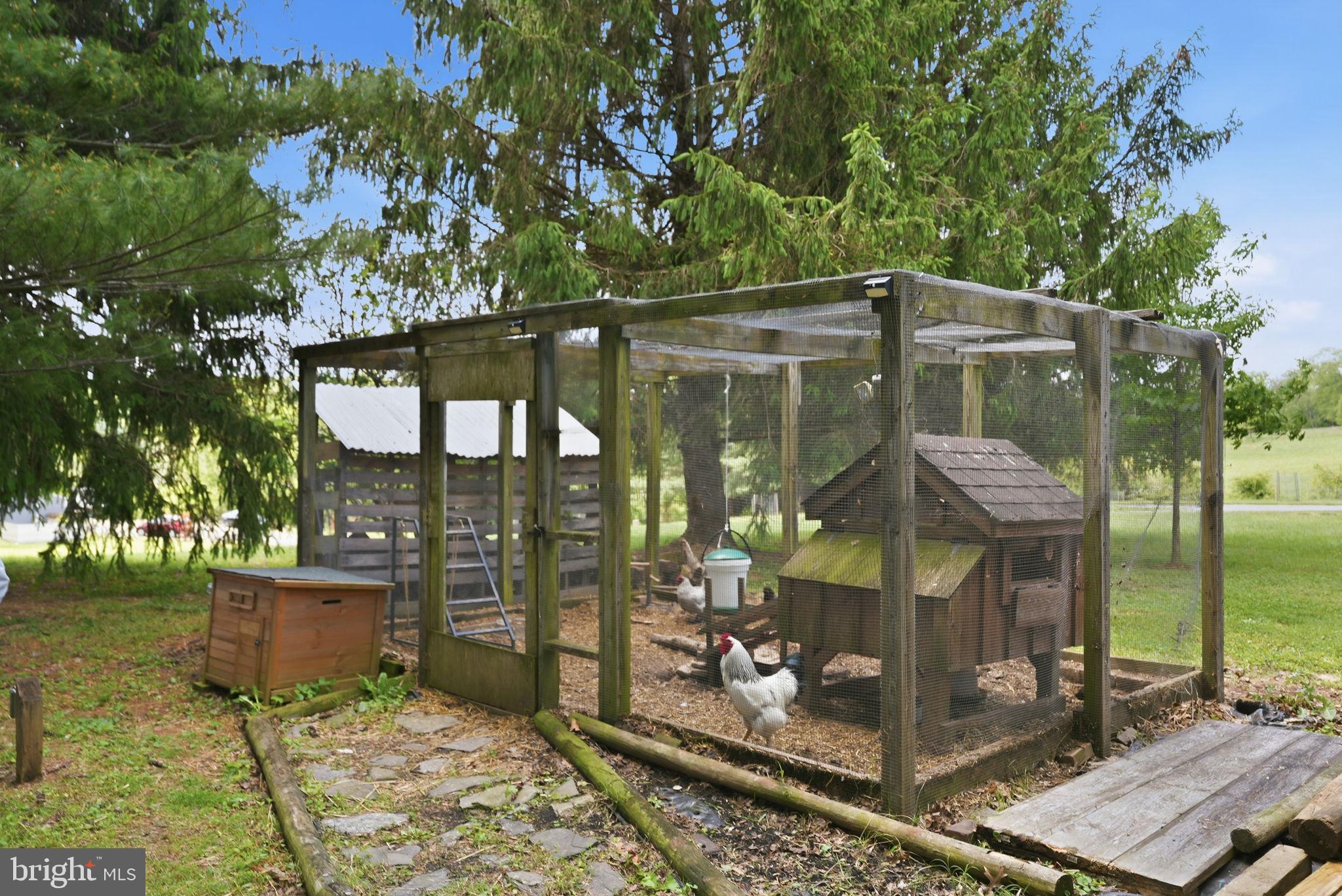 1811 Ednor Road Silver Spring, MD 20905 - Photo 32 of 39 Chicken coop