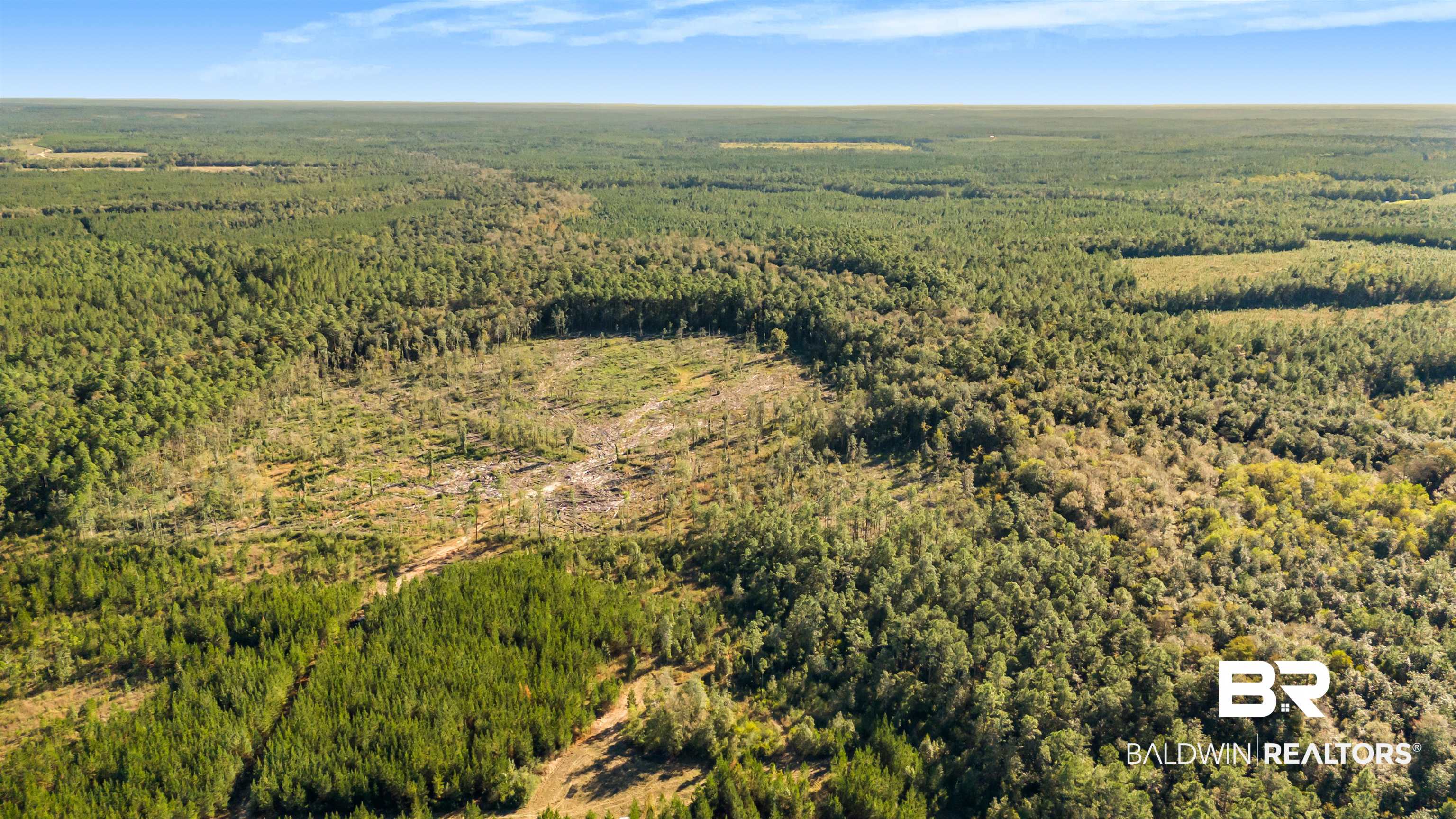 0 County Road 112 Robertsdale, AL 36567 - Photo 23 of 33 Birds eye view of property