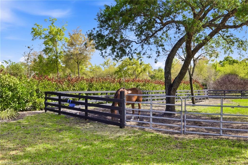 21571 North River Road Alva, FL 33920 - Photo 43 of 48