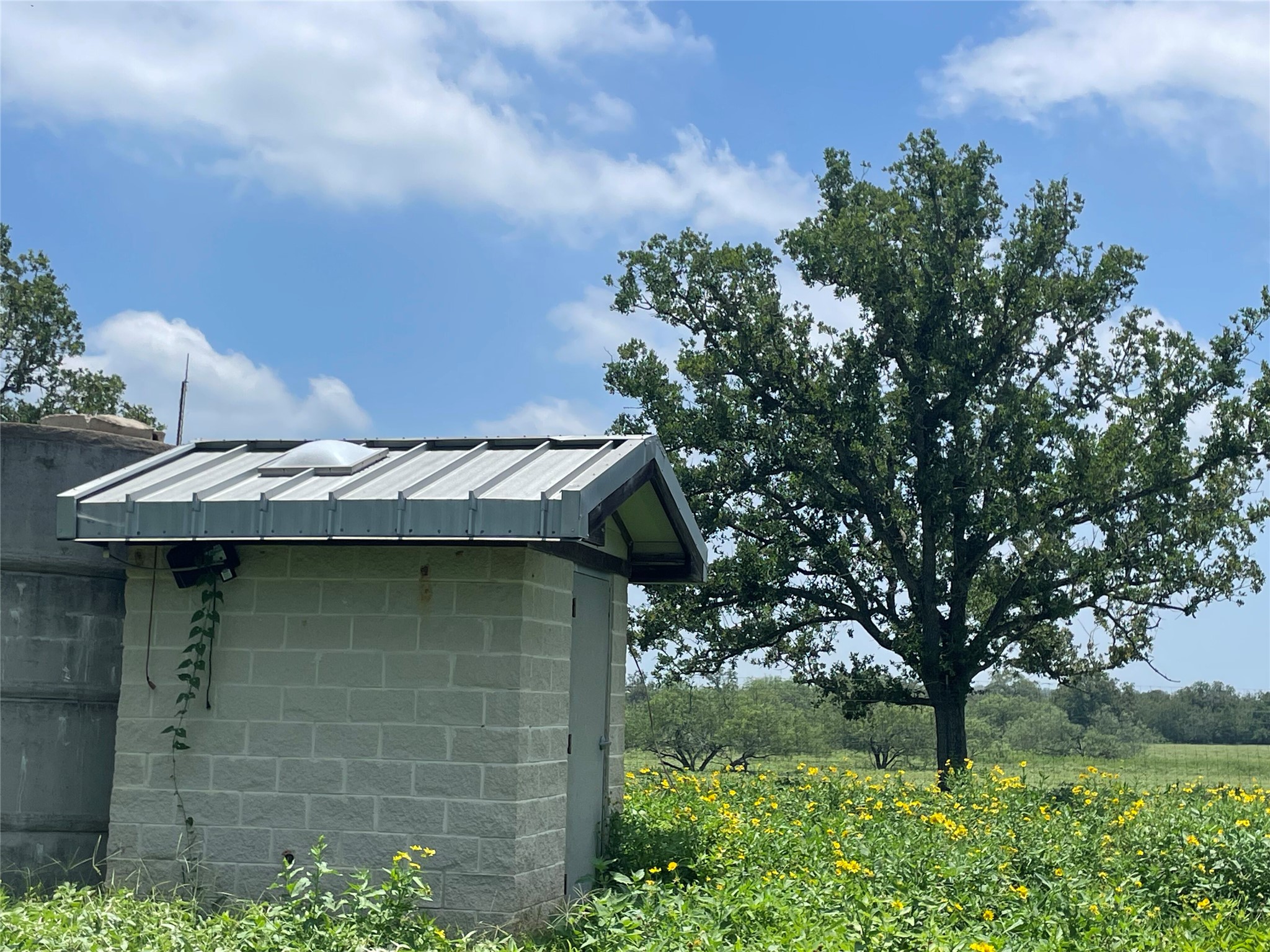 2238 Flash Circle Luling, TX 78648 - Photo 5 of 5 A well-maintained utility shed stands amidst a vibrant field, complemented by mature trees.