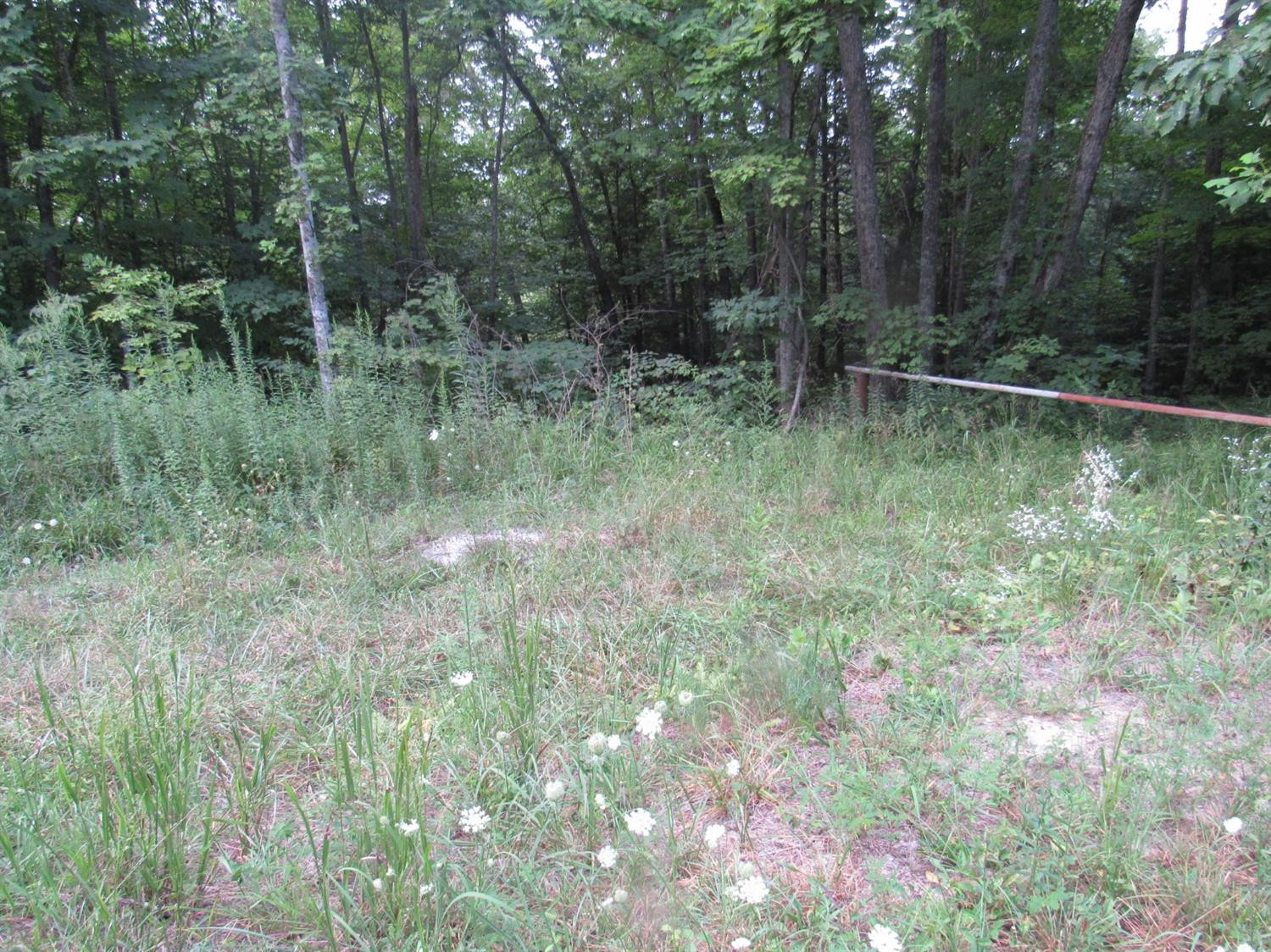 1712 Tom Stamper Road Frenchburg, KY 40322 - Photo 3 of 27 Listing Photo
