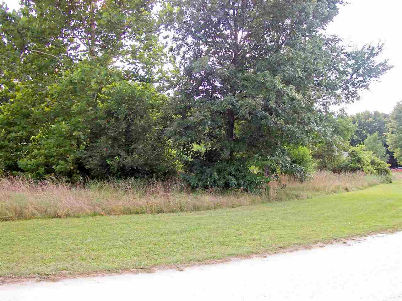 0 Rays Road Winamac, IN 46996 - Photo 3 of 3
