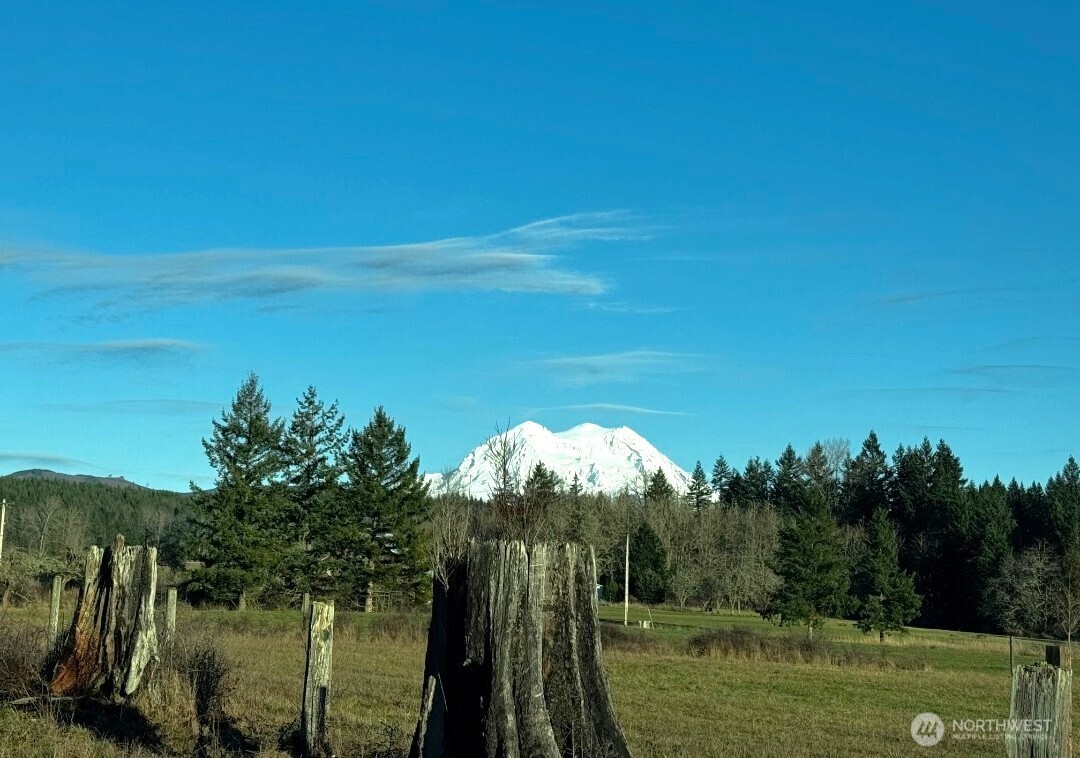 15102 Scott Turner Road East Eatonville, WA 98328 - Photo 4 of 4 a view of a lake with a yard