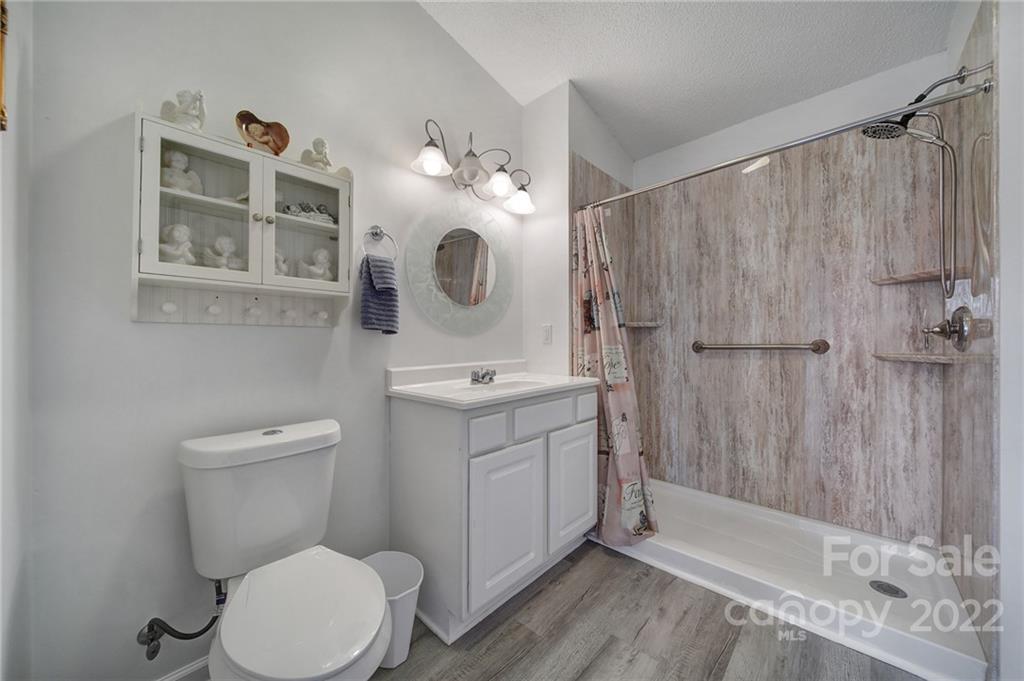 119 Celestial Way Mill Spring, NC 28756 - Photo 10 of 33 a bathroom with a sink a toilet a mirror and shower