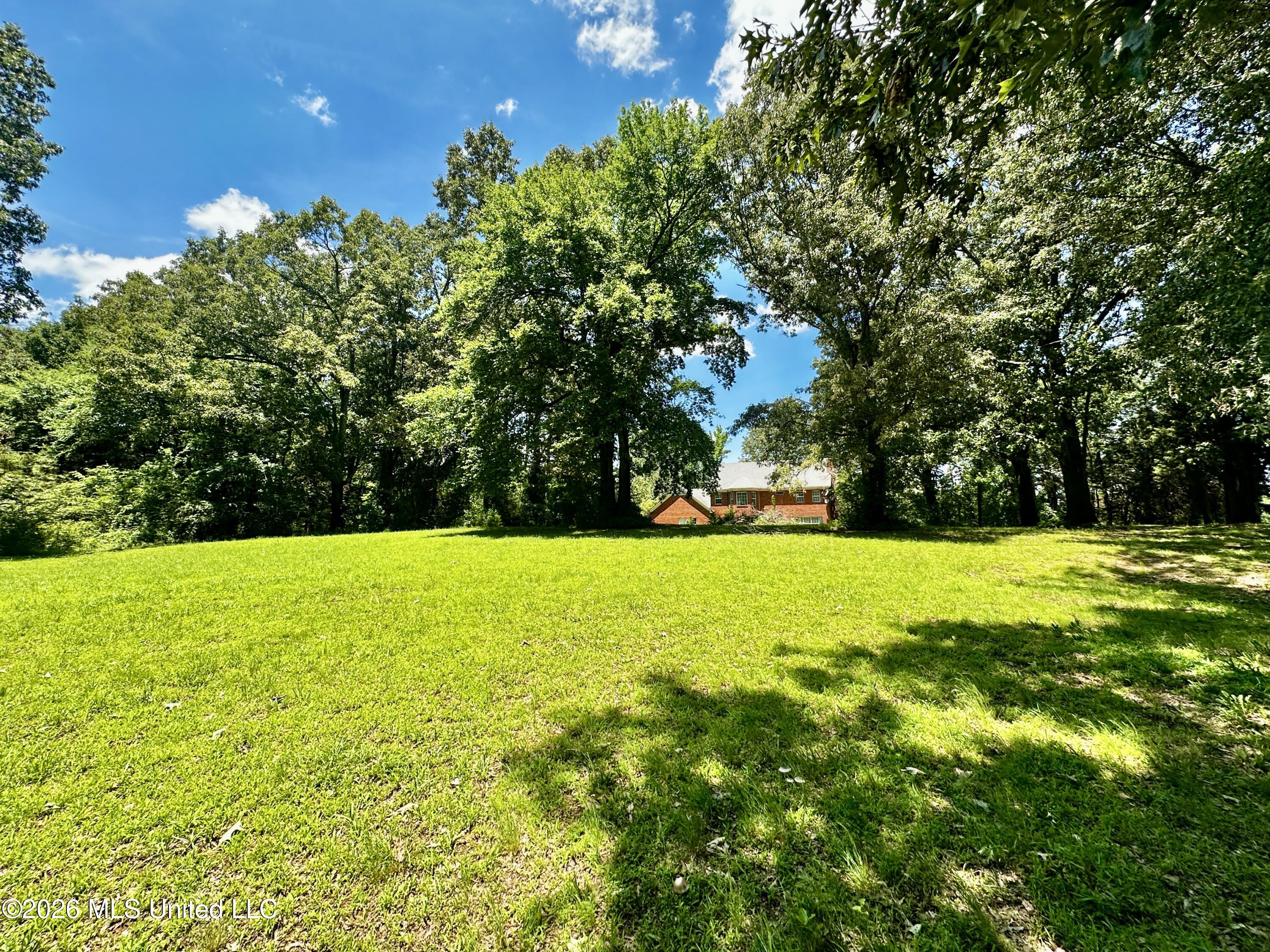 8863 Sheltowee Trail Hernando, MS 38632 - Photo 19 of 22 Backyard