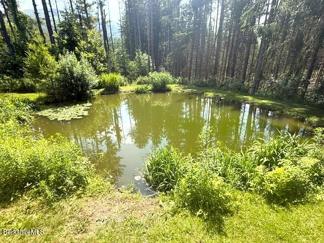 201 Weaver Dam Road Petersburg, NY 12138 - Photo 24 of 32 Swimming pond