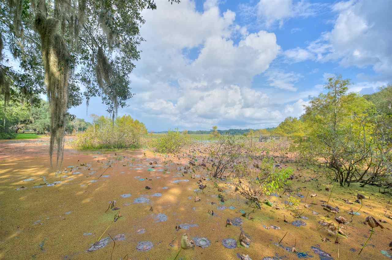 11017 Luna Point Road Tallahassee, FL 32312 - Photo 36 of 36 Gallery Image 36