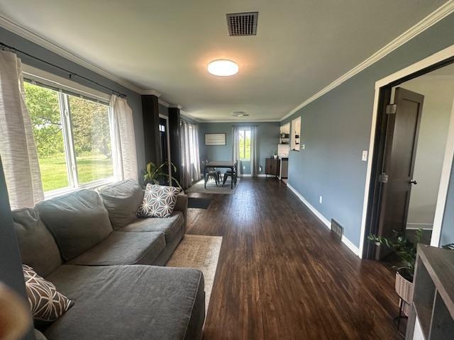 2589 Lindgren Road Northeast Puposky, MN 56667 - Photo 7 of 28