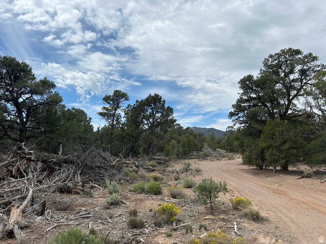 St, Unit 1 & 2 Modena, UT 84753 - Photo 61 of 69 Expansive natural landscape featuring mature trees, diverse ground cover, and a winding dirt path