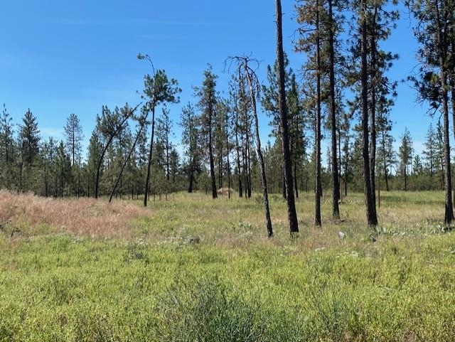 5742 J Corkscrew Canyon Road Tumtum, WA 99034 - Photo 10 of 11