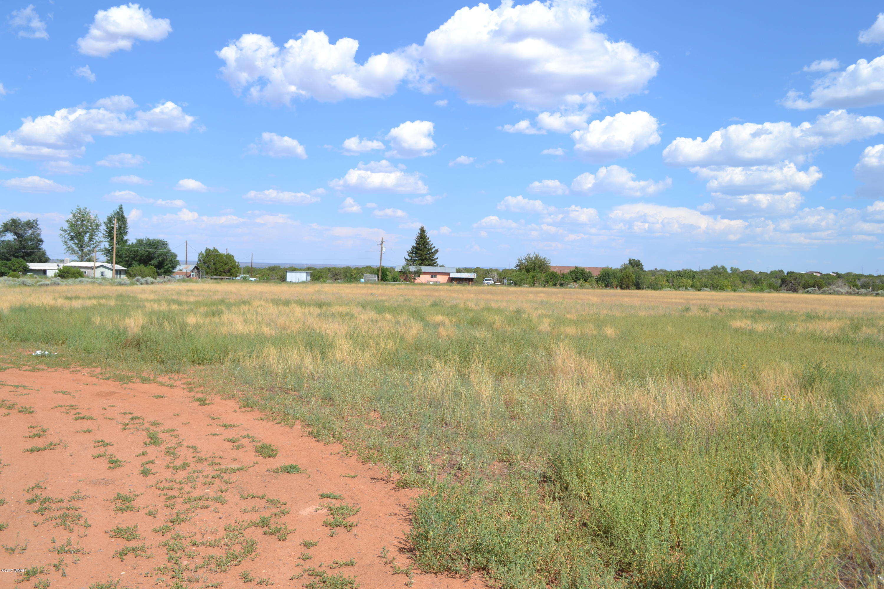 3790 Hereford Road Taylor, AZ 85939 - Photo 2 of 6
