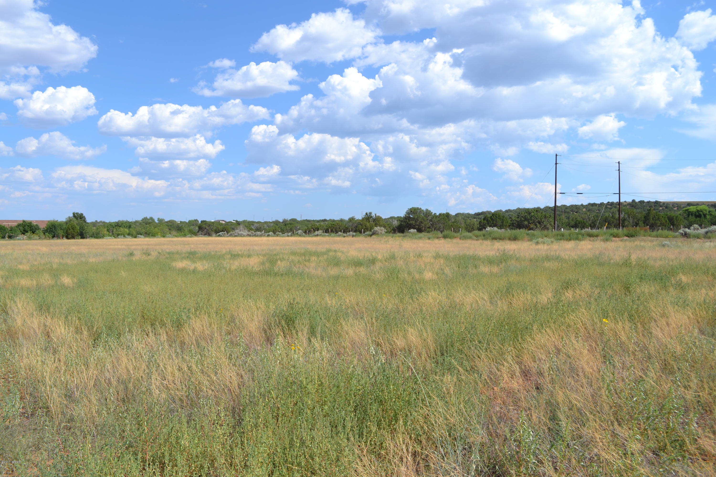 3790 Hereford Road Taylor, AZ 85939 - Photo 3 of 6
