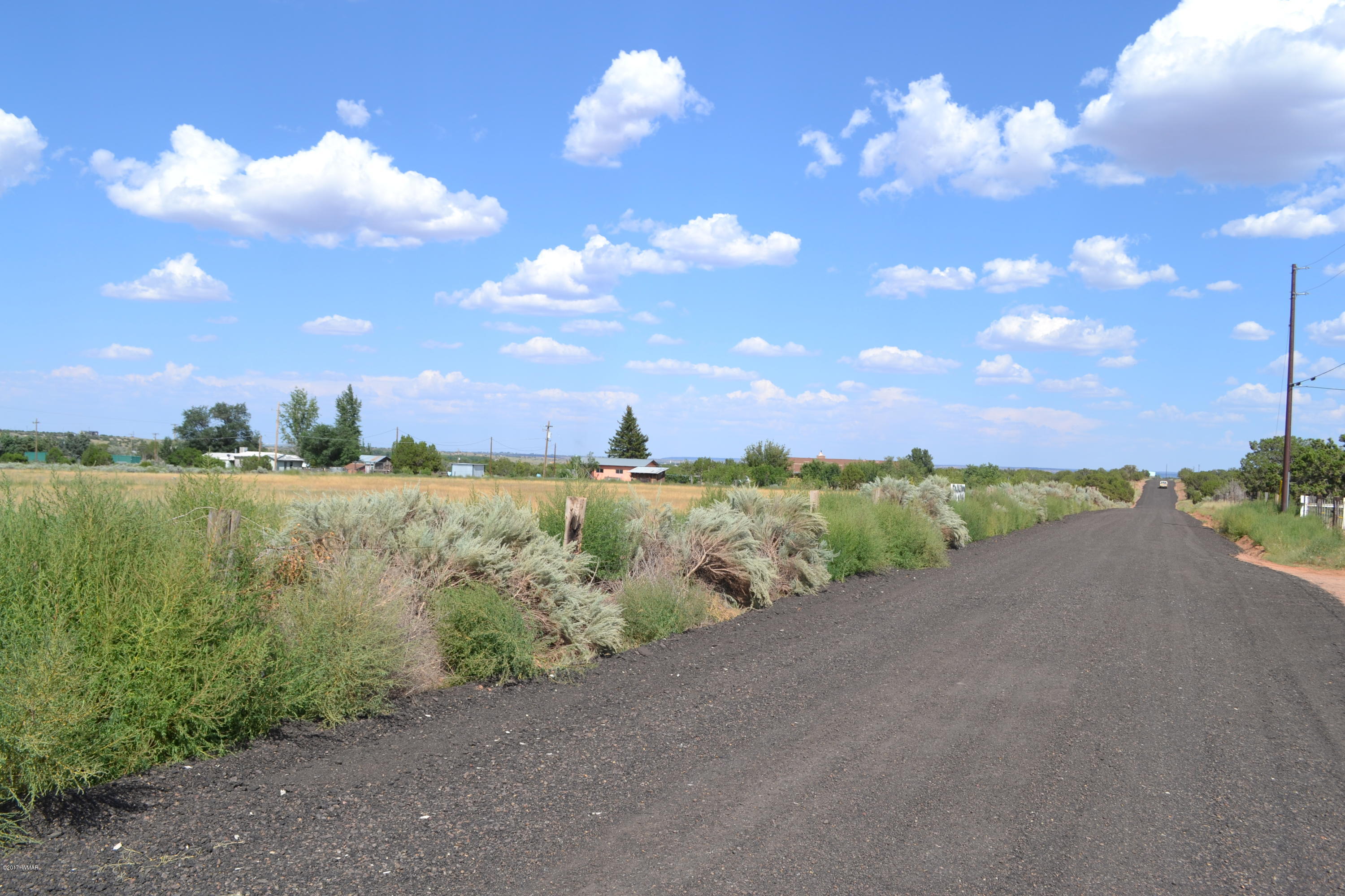 3790 Hereford Road Taylor, AZ 85939 - Photo 4 of 6