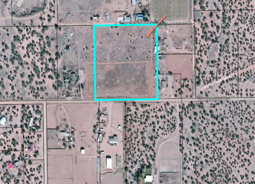 3790 Hereford Road Taylor, AZ 85939 - Photo 6 of 6