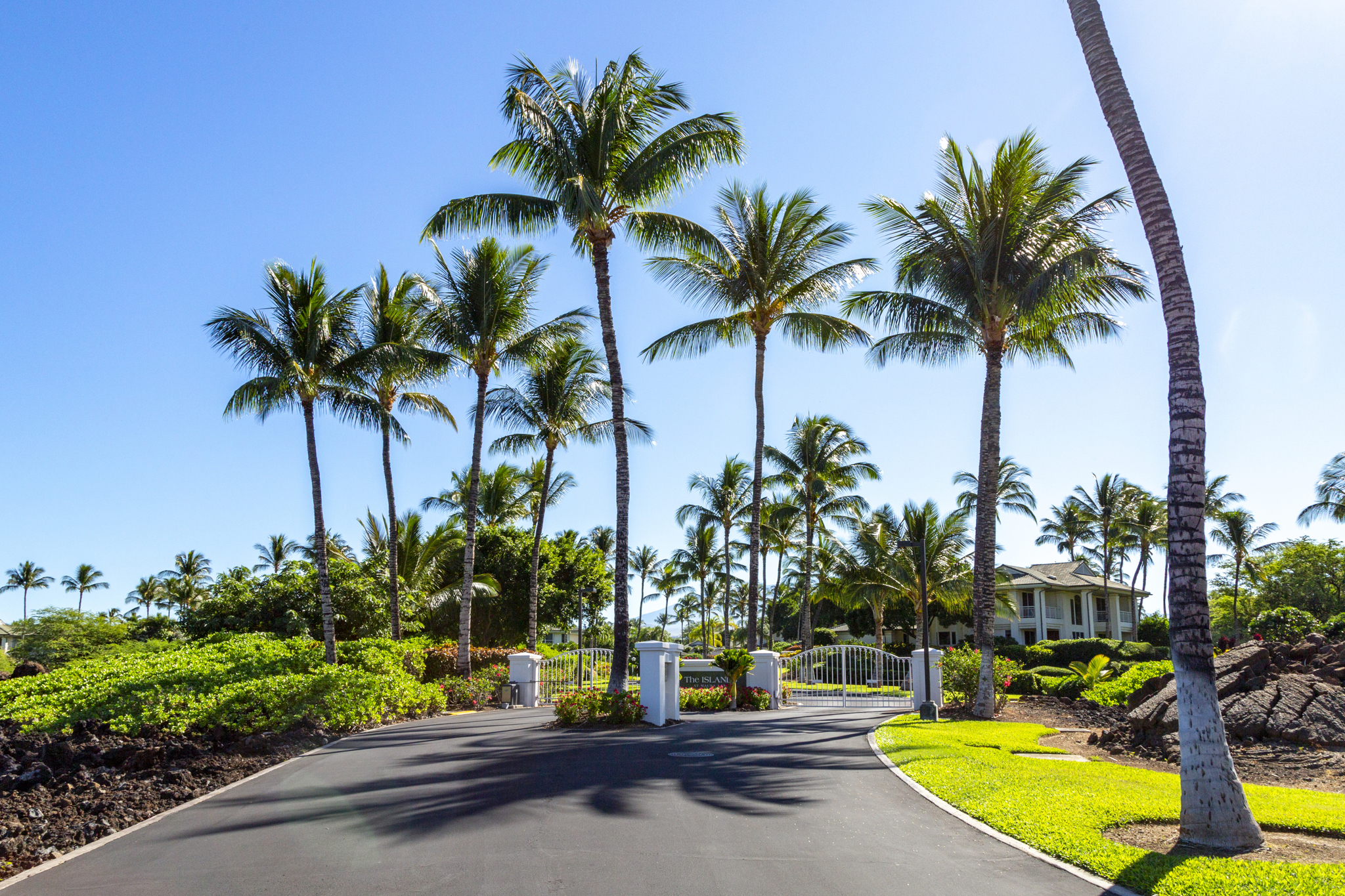 68-1375 Pauoa Road, Unit Q2 Kamuela, HI 96743 - Photo 25 of 30 a view of a palm tree with flower plants