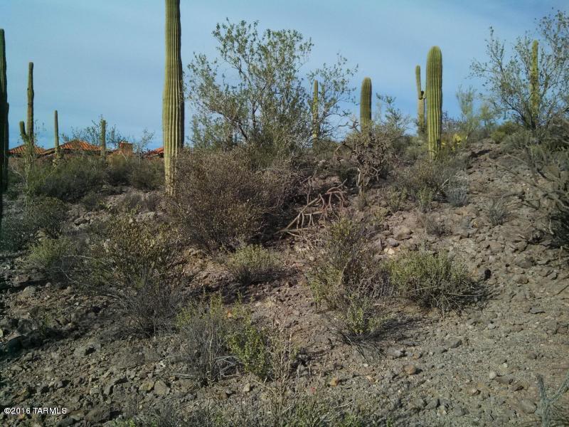 4250 West Anklam Road, Unit 1 Tucson, AZ 85745 - Photo 12 of 13 Gallery Image 12
