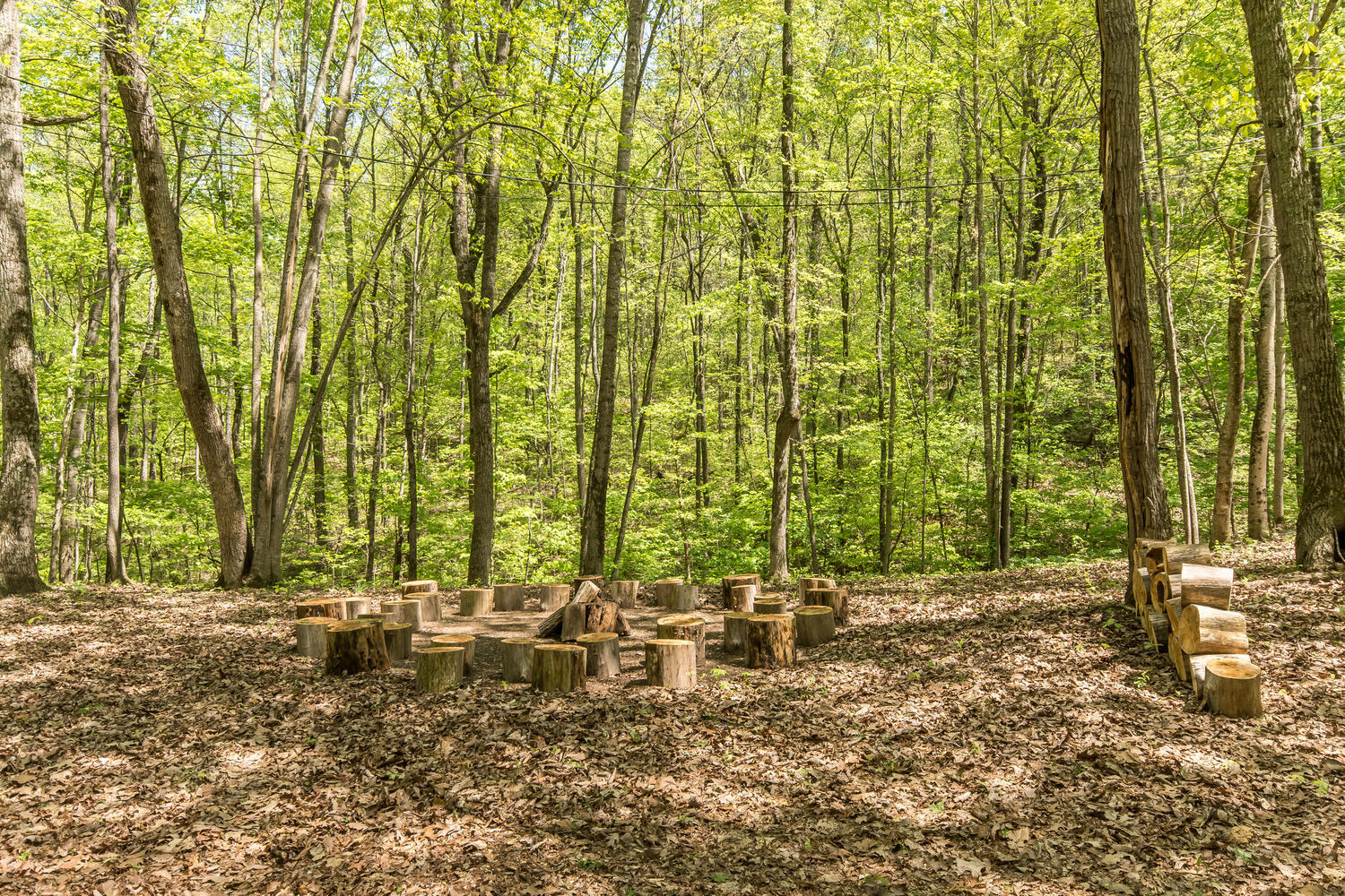 158 Rabbit Run Way Dandridge, TN 37725 - Photo 27 of 39 158 Rabbit Run Way Dandridge-large-041-F