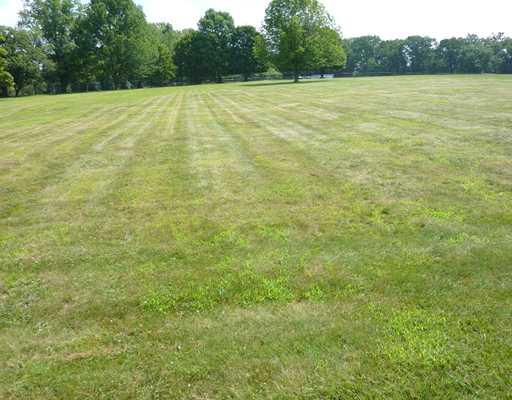 10384 Grubbs Road Wexford, PA 15090 - Photo 16 of 18 Exterior Back. The park-like lot offers a huge place for the kids to play and run.