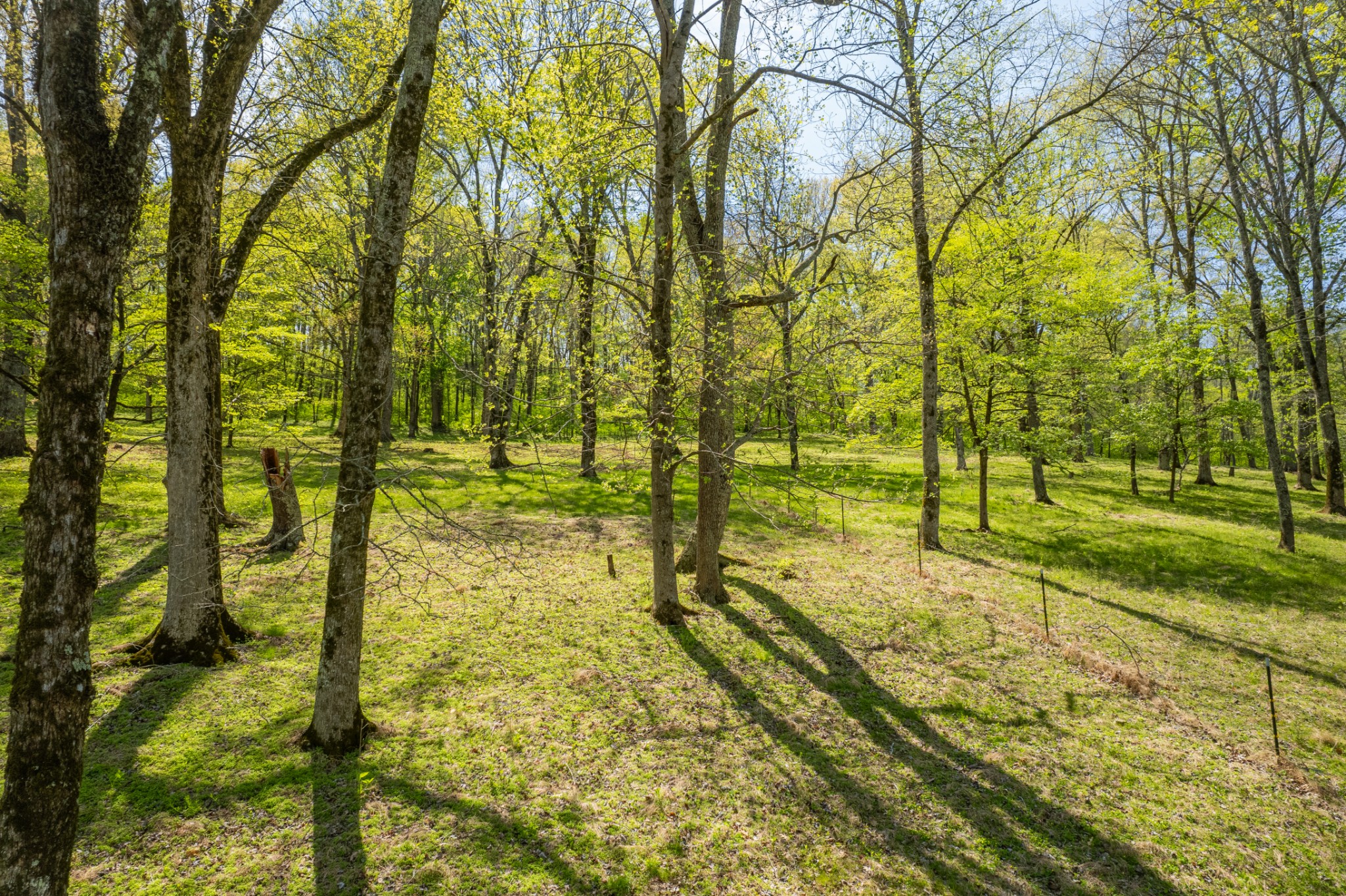 8039 Campbellsville Road Pulaski, TN 38478 - Photo 82 of 100