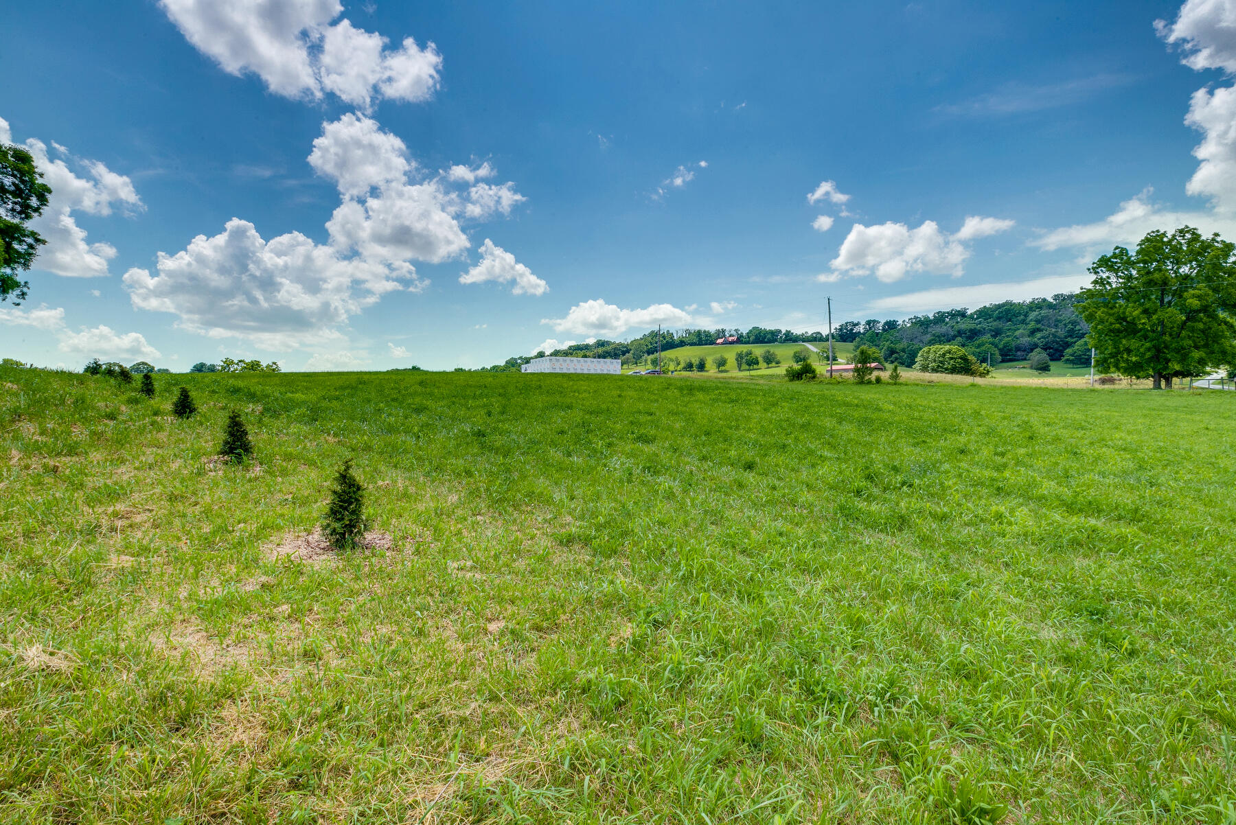 259 West Side Road, Unit 7 Jonesborough, TN 37659 - Photo 10 of 12 103