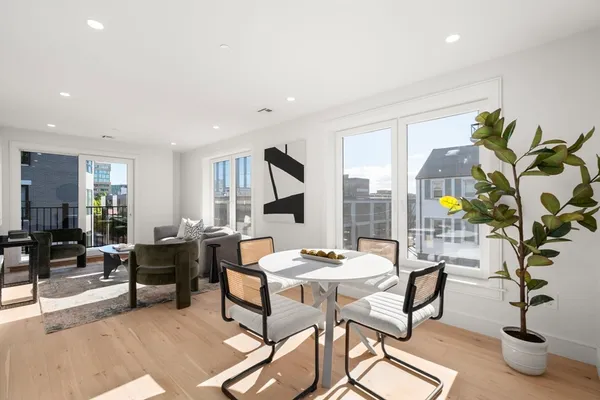 a living room with furniture and potted plants