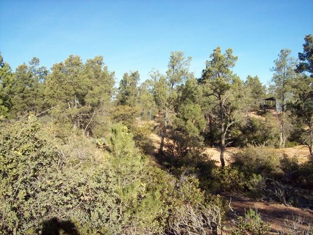 719 South Ridgeway Lane, Unit 20 Payson, AZ 85541 - Photo 3 of 5 Photo 3