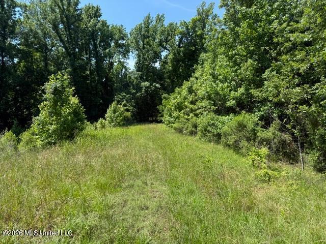 53 Cliffs Plantation Road Natchez, MS 39120 - Photo 15 of 23 53 Cliffs Plantation Pic 15