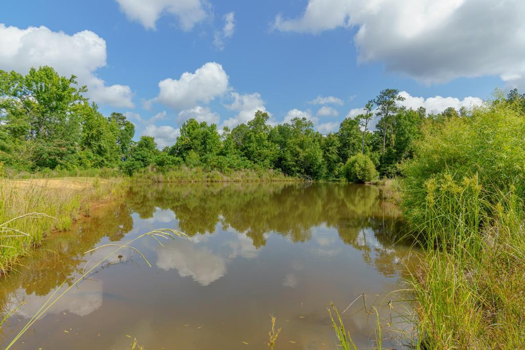 3603 Highway 583 Ruth, MS 39662 - Photo 19 of 24 Photo 19