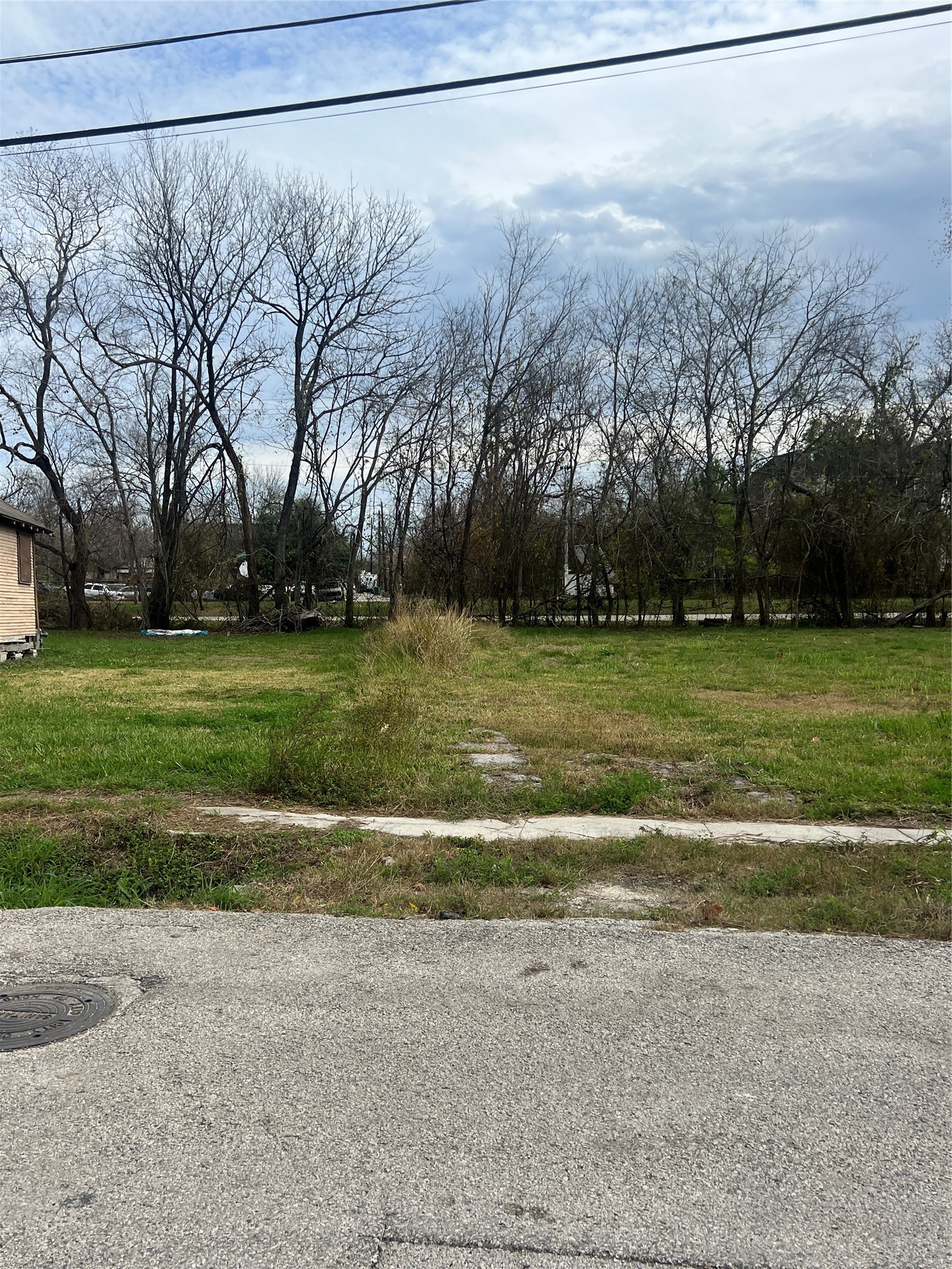 3313 Sauer Street Houston, TX 77004 - Photo 5 of 8 a view of a field with trees in the background