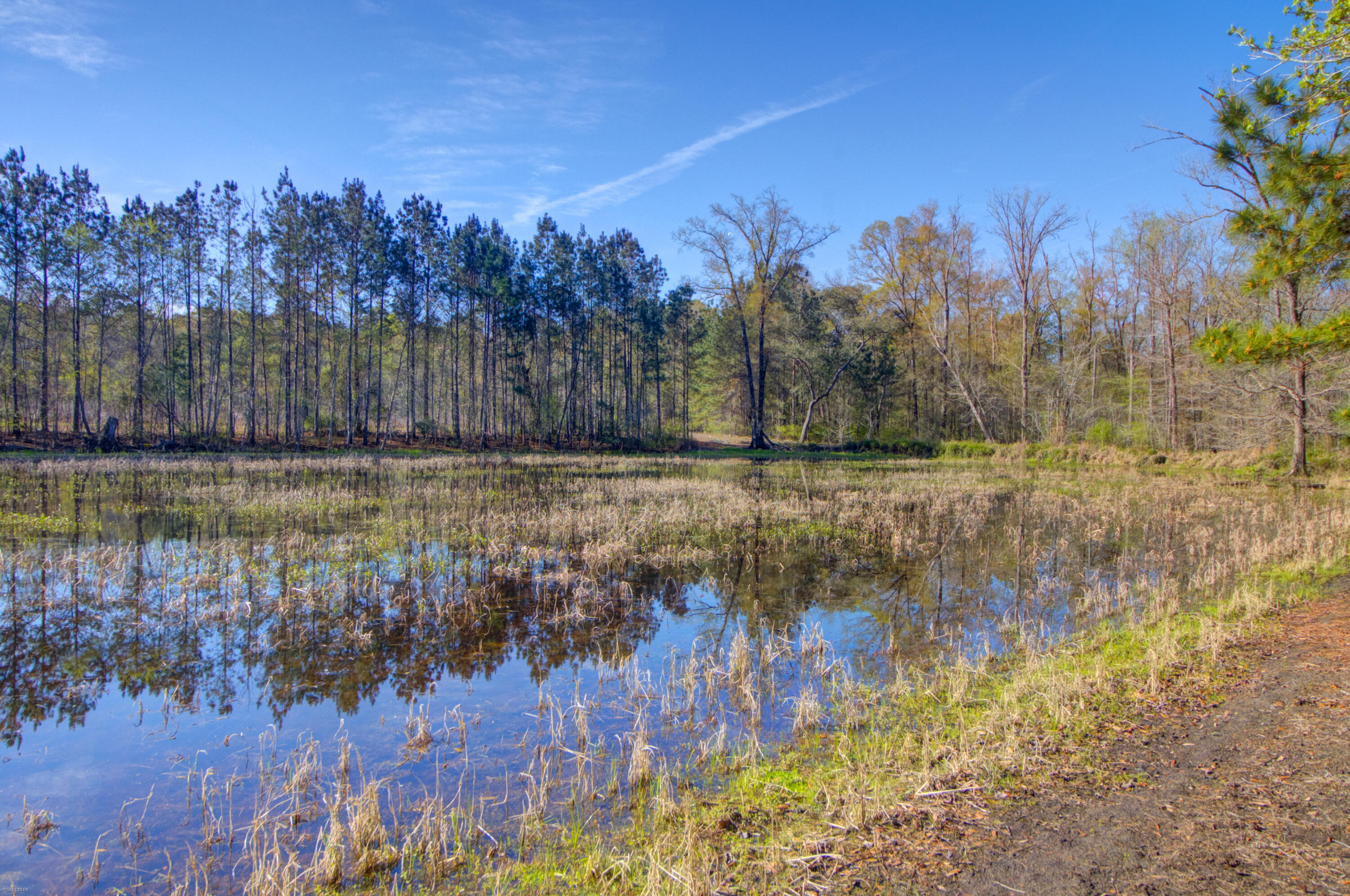 1384 Sandy Landing Lane Round O, SC 29474 - Photo 30 of 49 1384 Sandy Landing -Tidalcreekphoto- (10