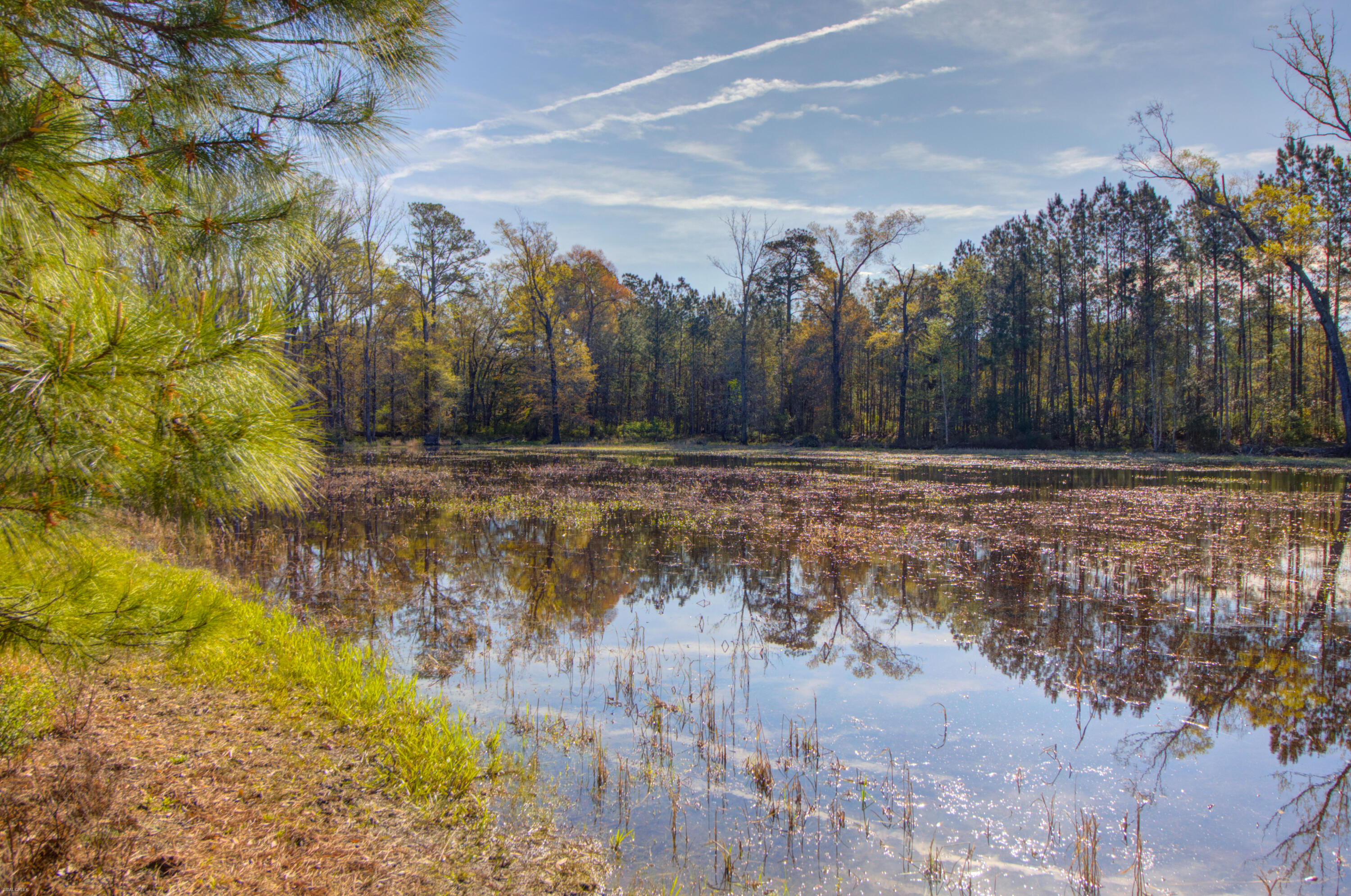 1384 Sandy Landing Lane Round O, SC 29474 - Photo 31 of 49 1384 Sandy Landing -Tidalcreekphoto- (11