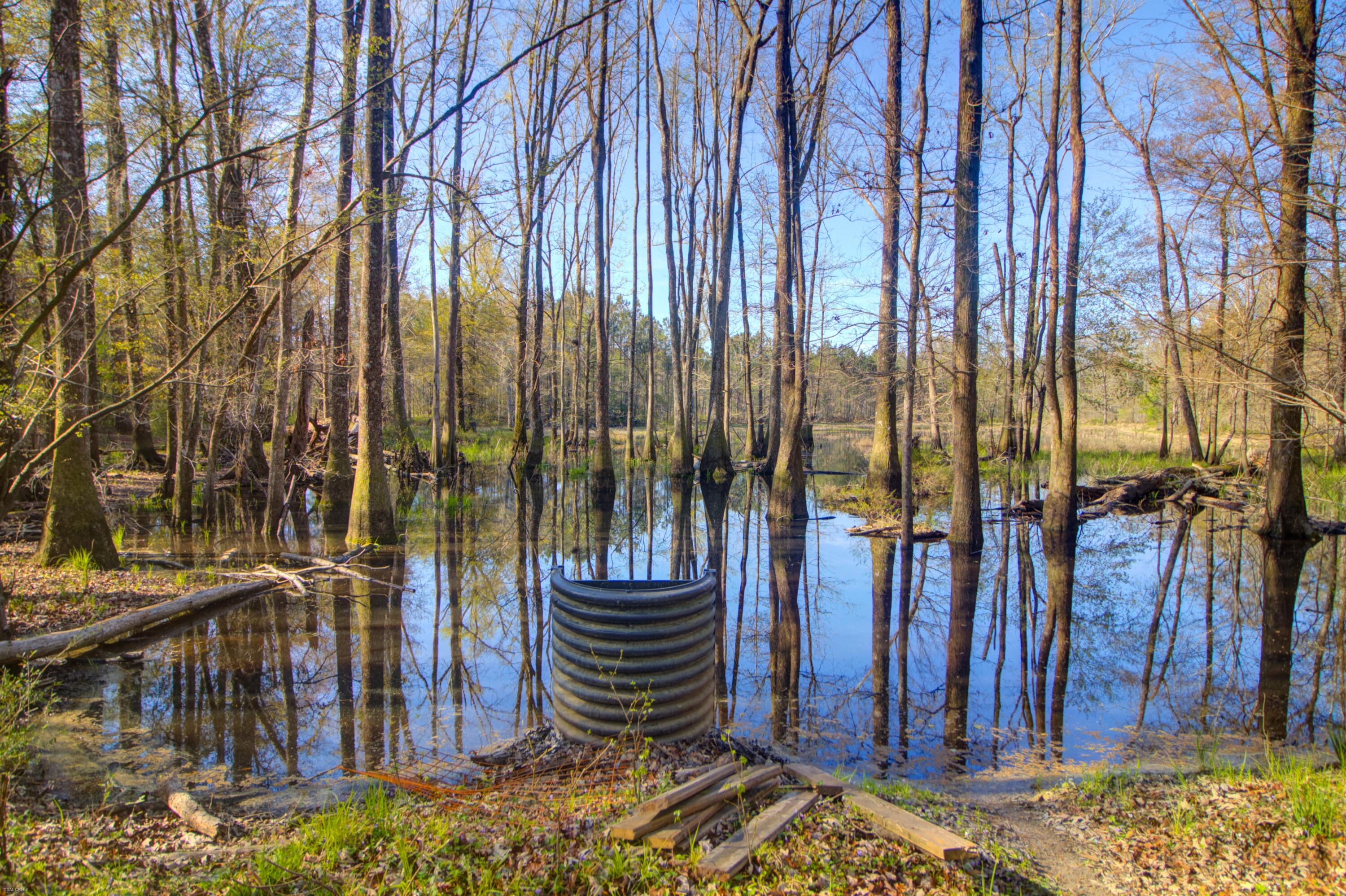 1384 Sandy Landing Lane Round O, SC 29474 - Photo 33 of 49 1384 Sandy Landing -Tidalcreekphoto- (11