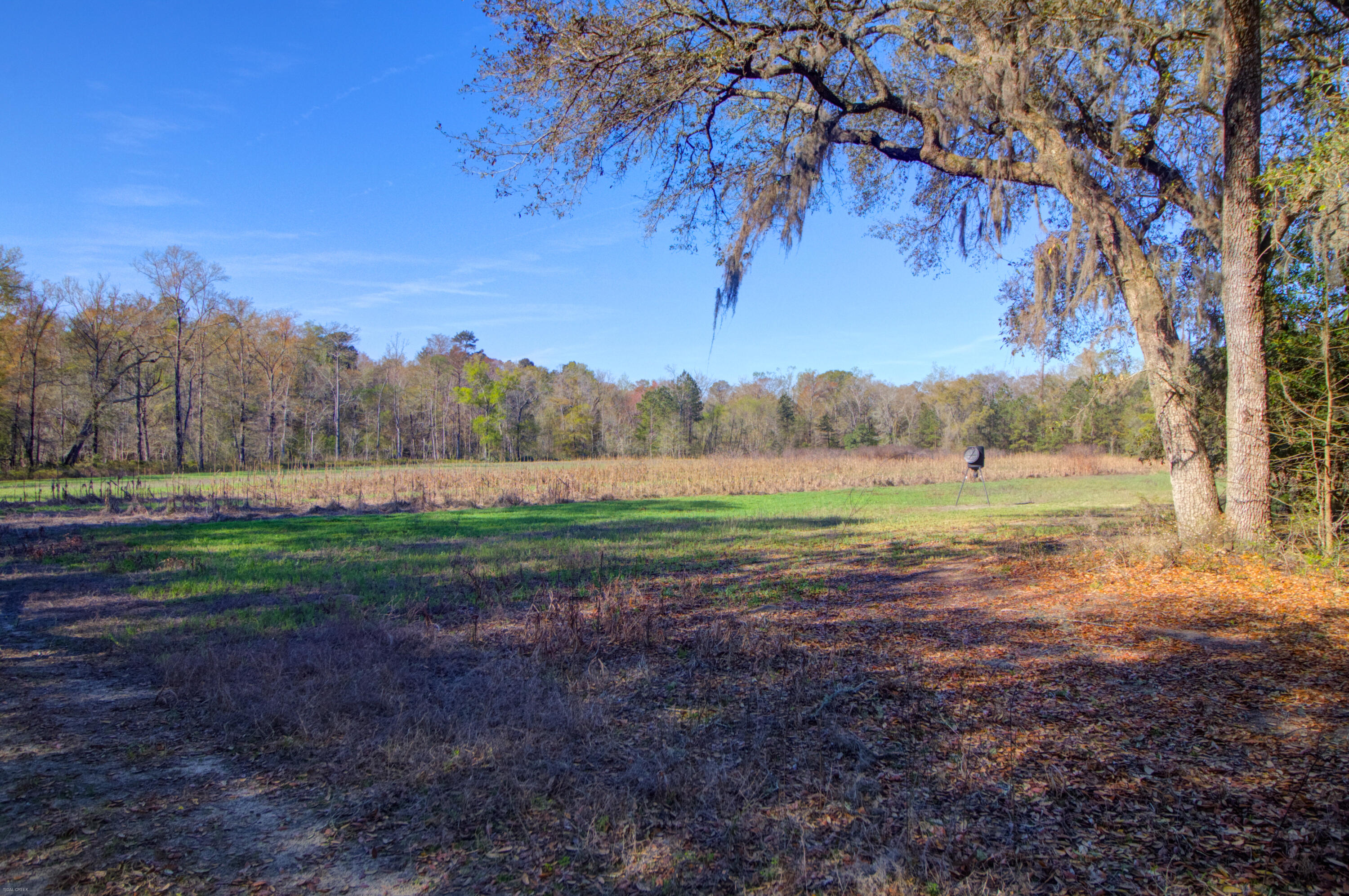 1384 Sandy Landing Lane Round O, SC 29474 - Photo 34 of 49 1384 Sandy Landing -Tidalcreekphoto- (11