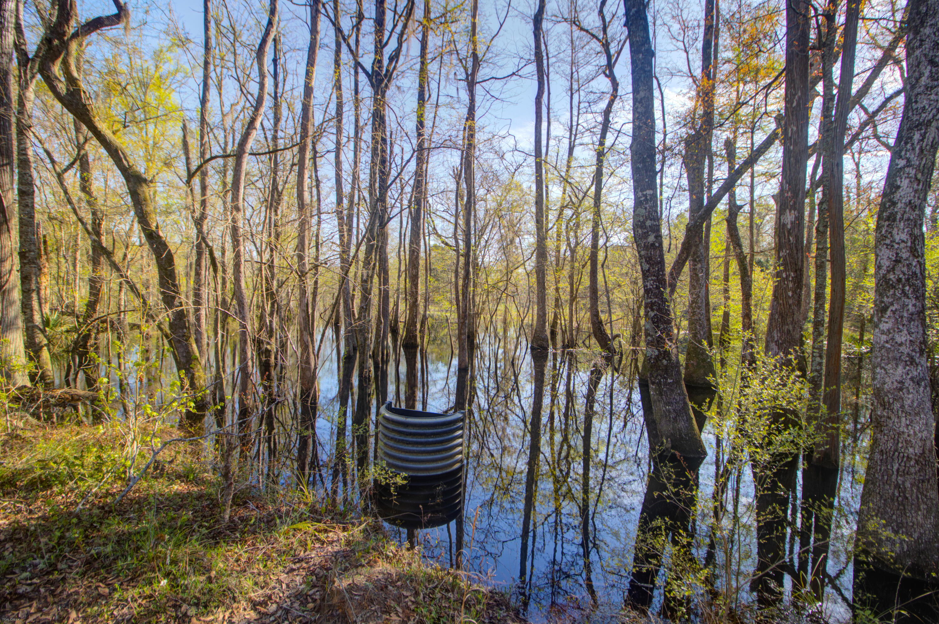 1384 Sandy Landing Lane Round O, SC 29474 - Photo 35 of 49 1384 Sandy Landing -Tidalcreekphoto- (11