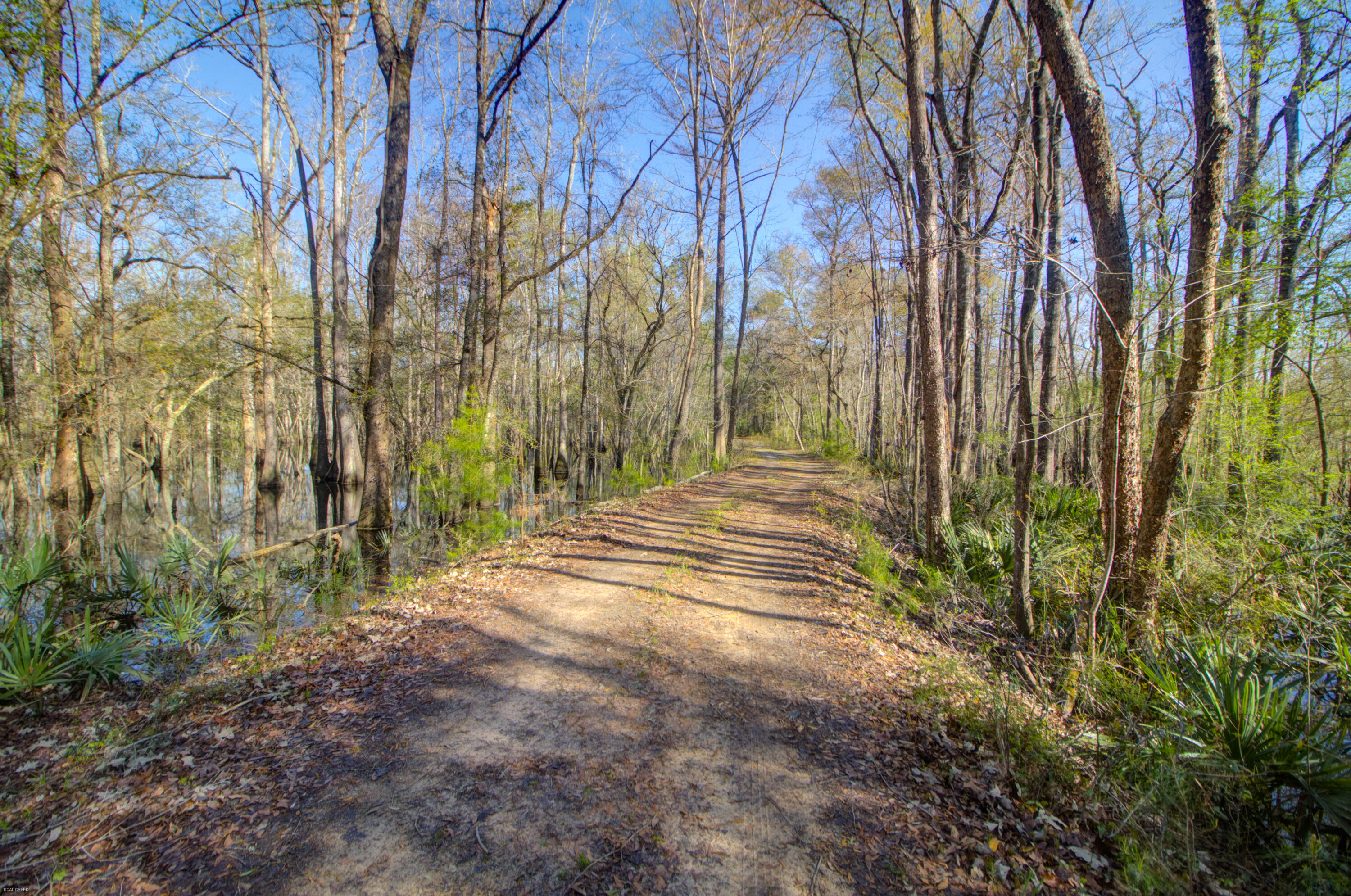 1384 Sandy Landing Lane Round O, SC 29474 - Photo 36 of 49 1384 Sandy Landing -Tidalcreekphoto- (11