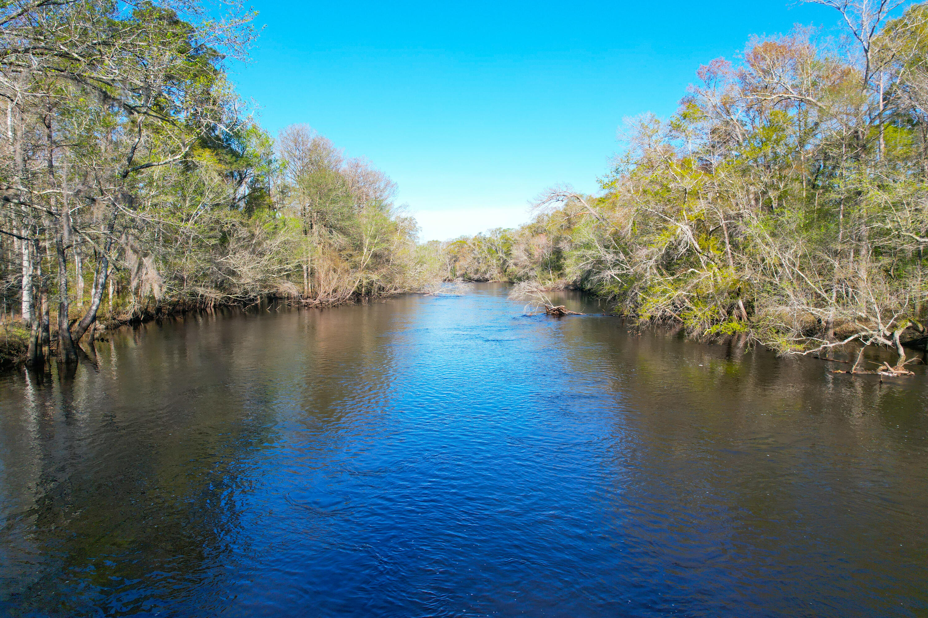 1384 Sandy Landing Lane Round O, SC 29474 - Photo 37 of 49 1384 Sandy Landing -Tidalcreekphoto- (13