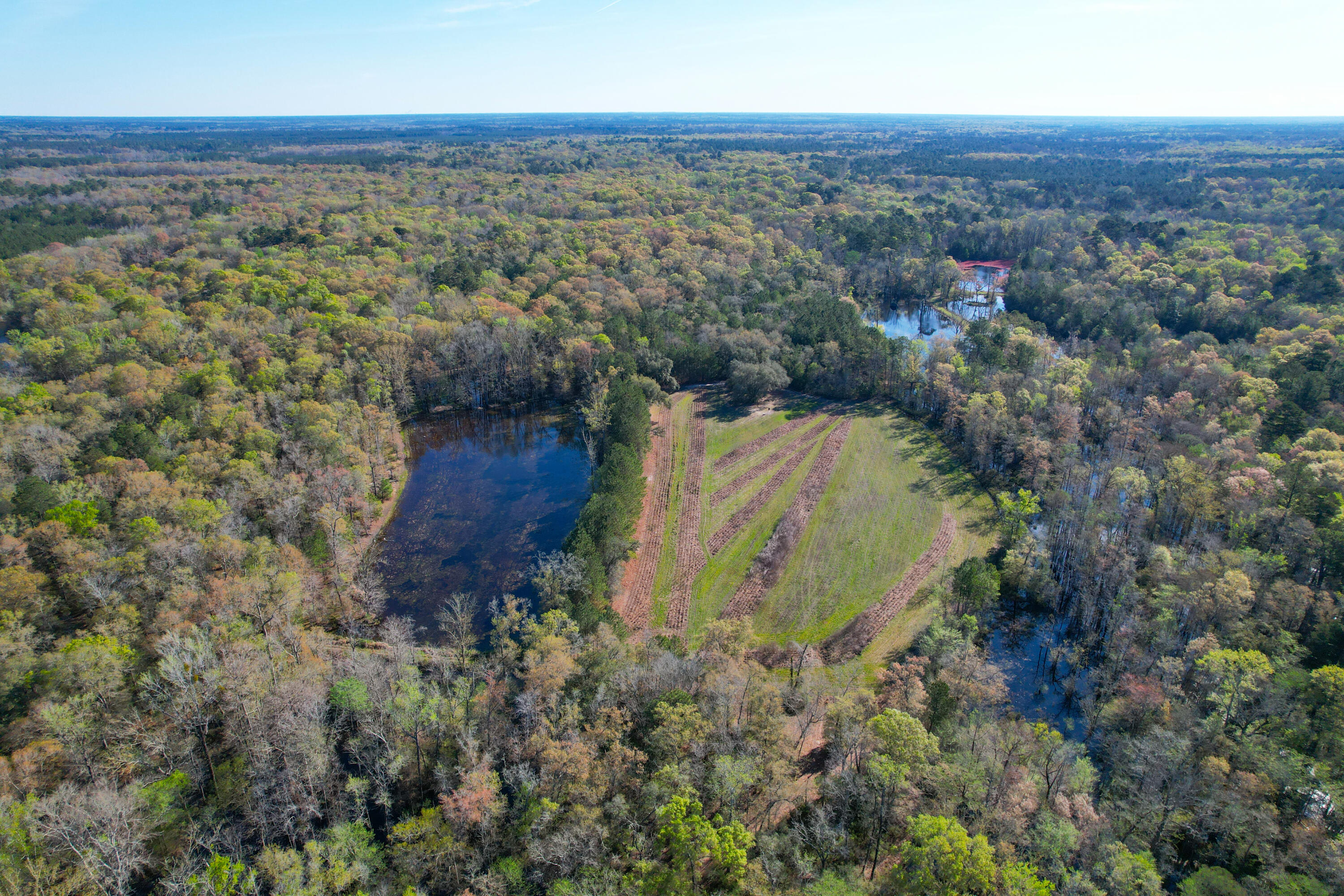 1384 Sandy Landing Lane Round O, SC 29474 - Photo 4 of 49 1384 Sandy Landing -Tidalcreekphoto- (12