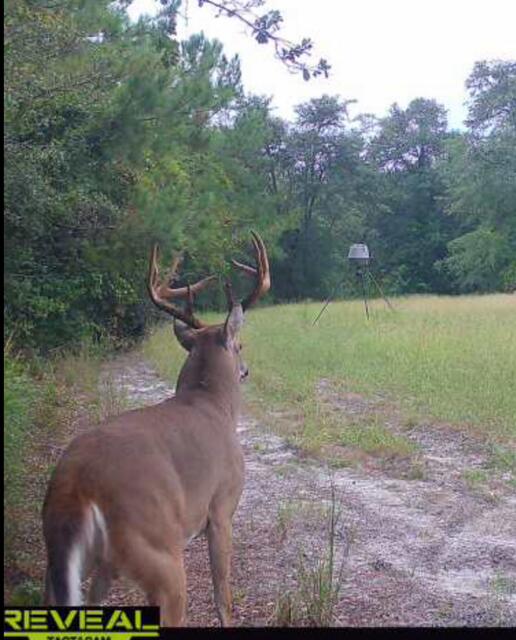 1384 Sandy Landing Lane Round O, SC 29474 - Photo 46 of 49 buck1