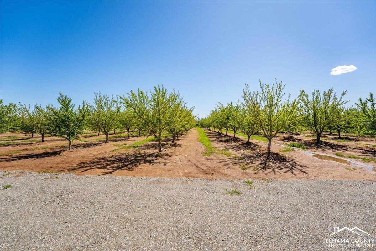 24565 Foster Road Corning, CA 96021 - Photo 37 of 47