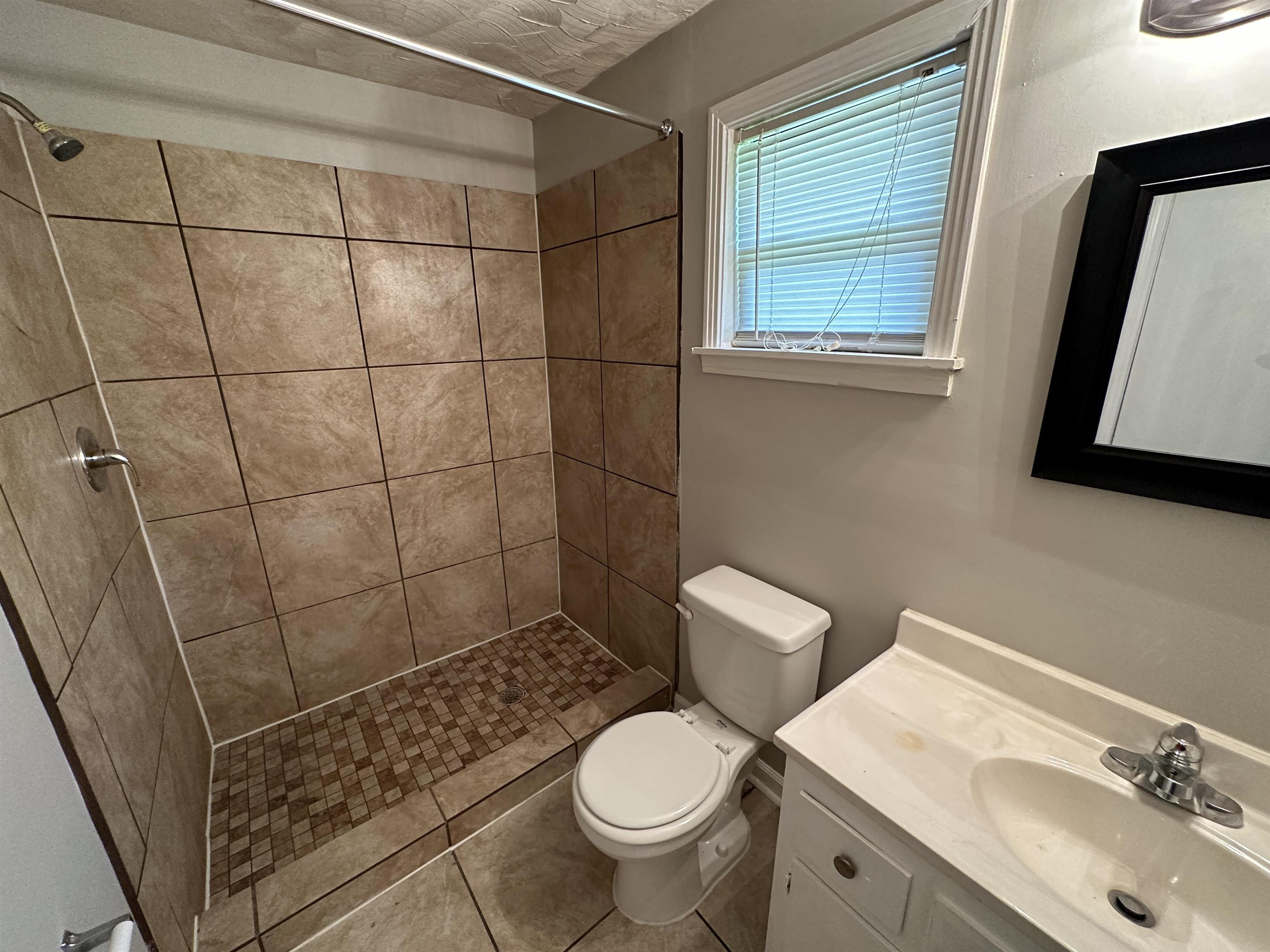 1203 Wilbec Road Memphis, TN 38117 - Photo 12 of 18 a bathroom with a sink a toilet a mirror and shower