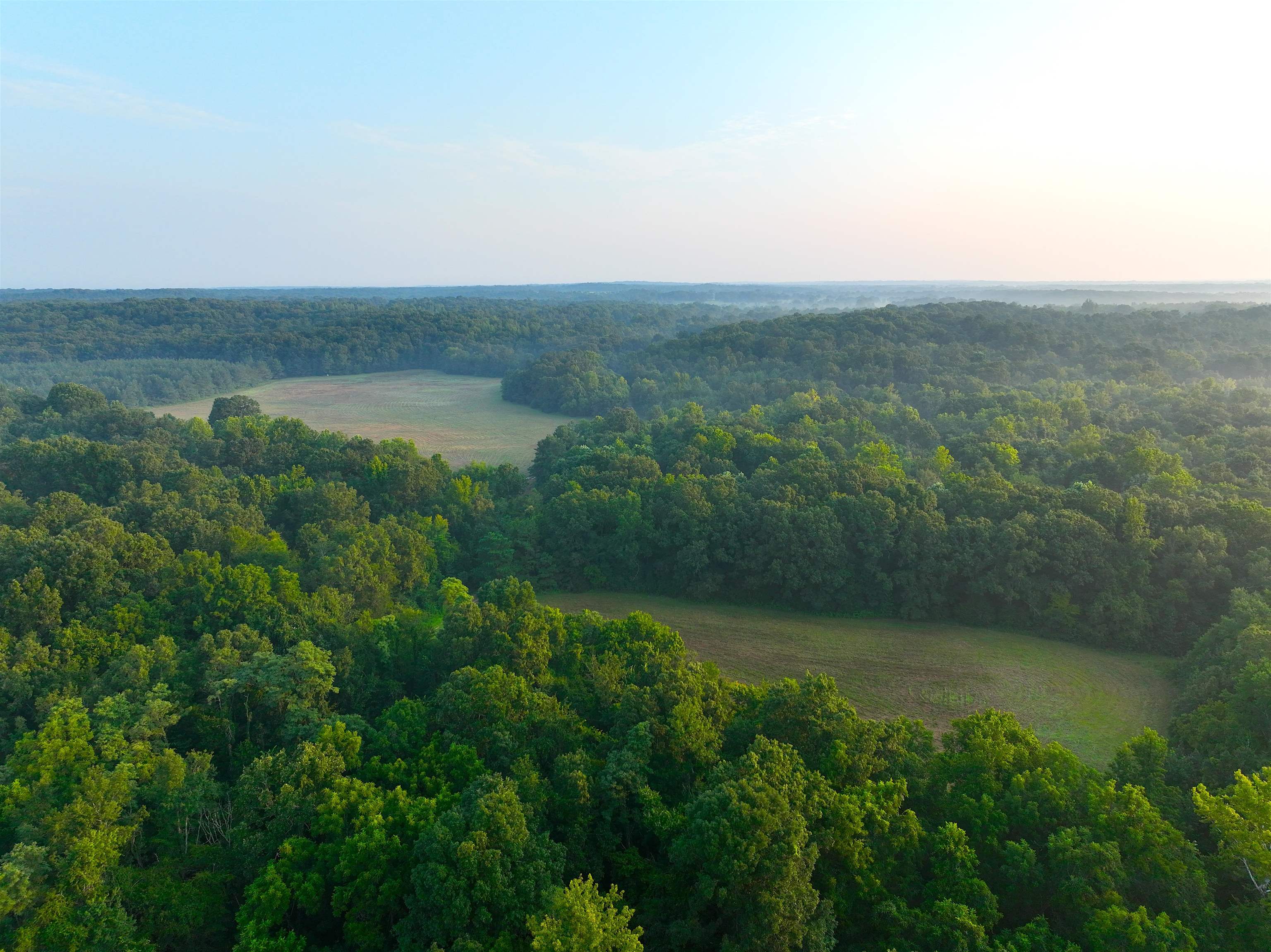 2530 West Fork Road Grand Junction, TN 38039 - Photo 27 of 40 Gallery Image 27